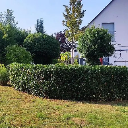 Vogelsberg Mechernich