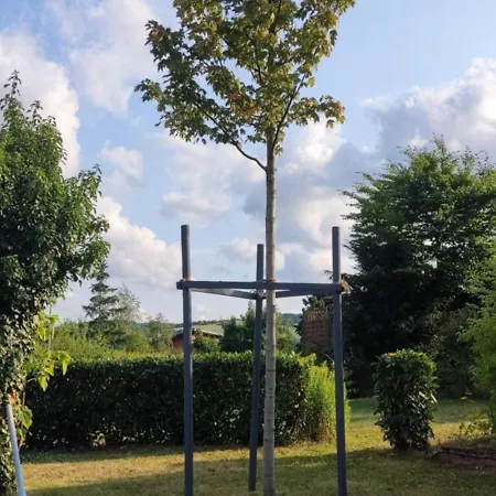 Vakantiehuis Vogelsberg *