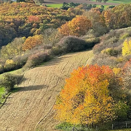 Vakantiehuis Vogelsberg Mechernich