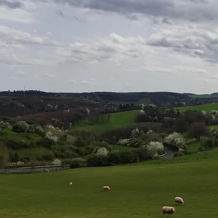 Vakantiehuis Vogelsberg *