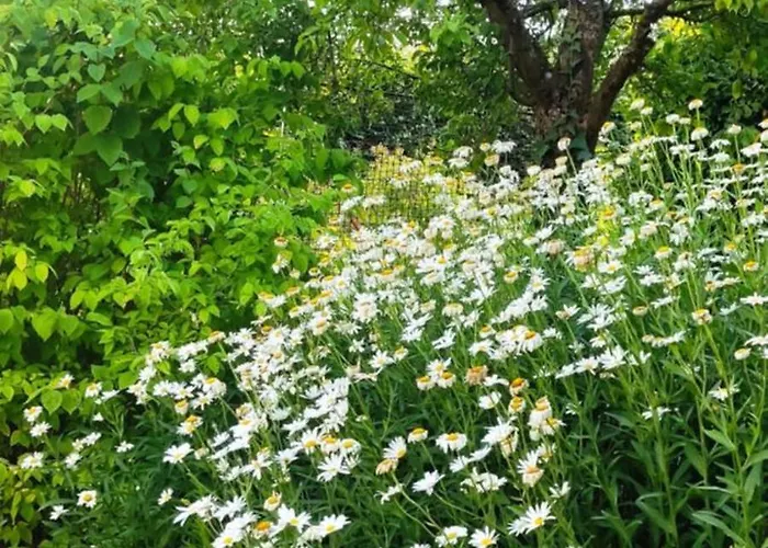 Vogelsberg Holiday home