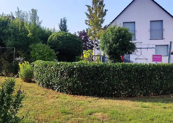 Vogelsberg Mechernich