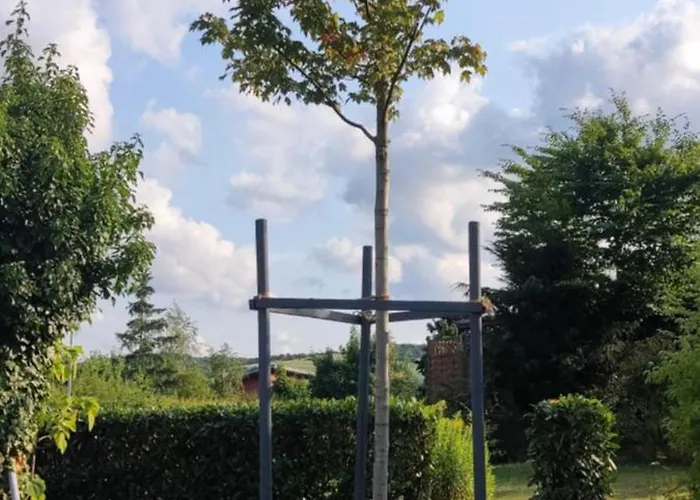 Holiday home Vogelsberg *