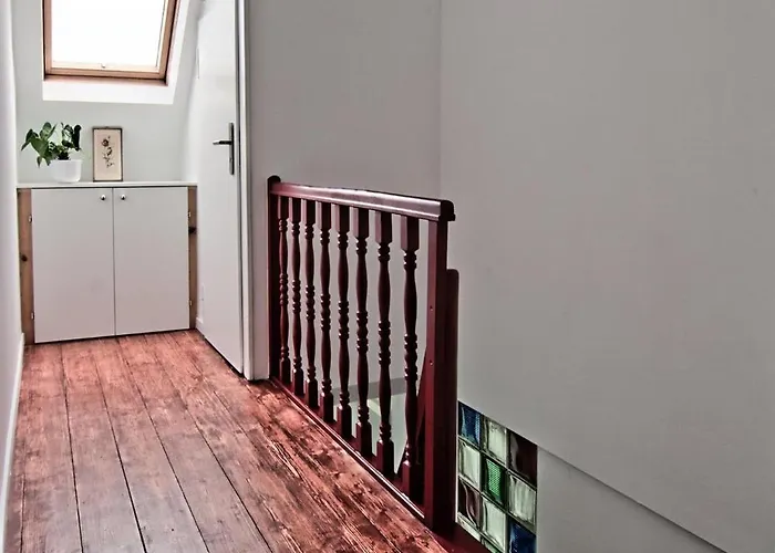 Vogelsberg Tatil Evi