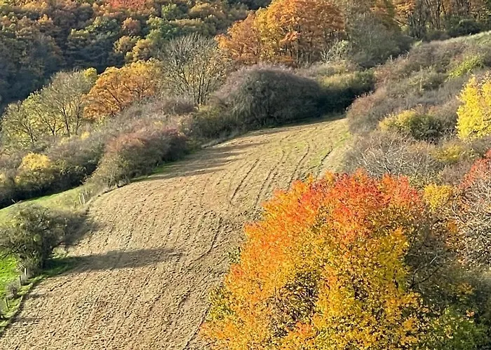Tatil Evi Vogelsberg Mechernich