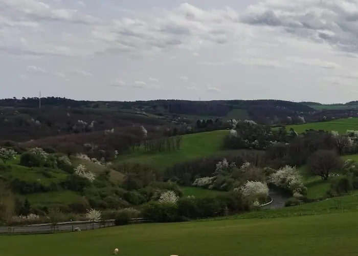 Tatil Evi Vogelsberg *